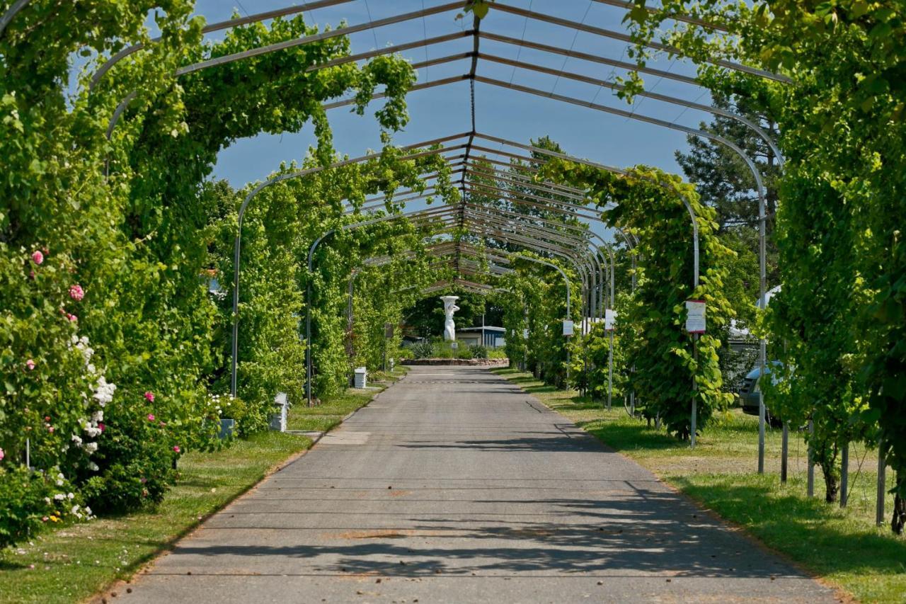 Knaus Campingpark 巴特迪克海姆 外观 照片